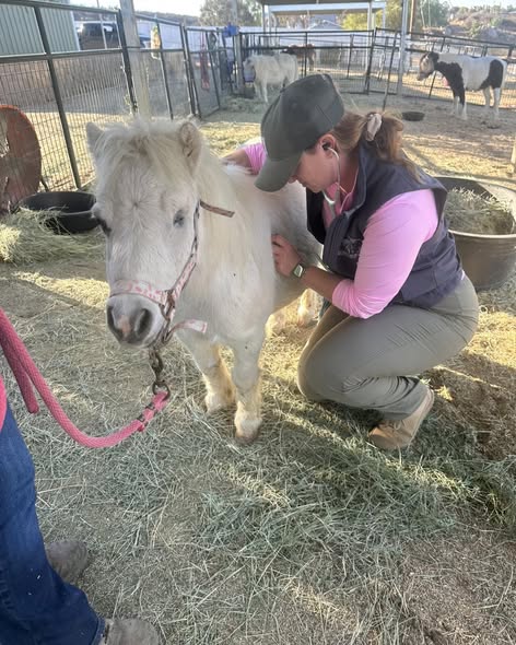 Governance and board work